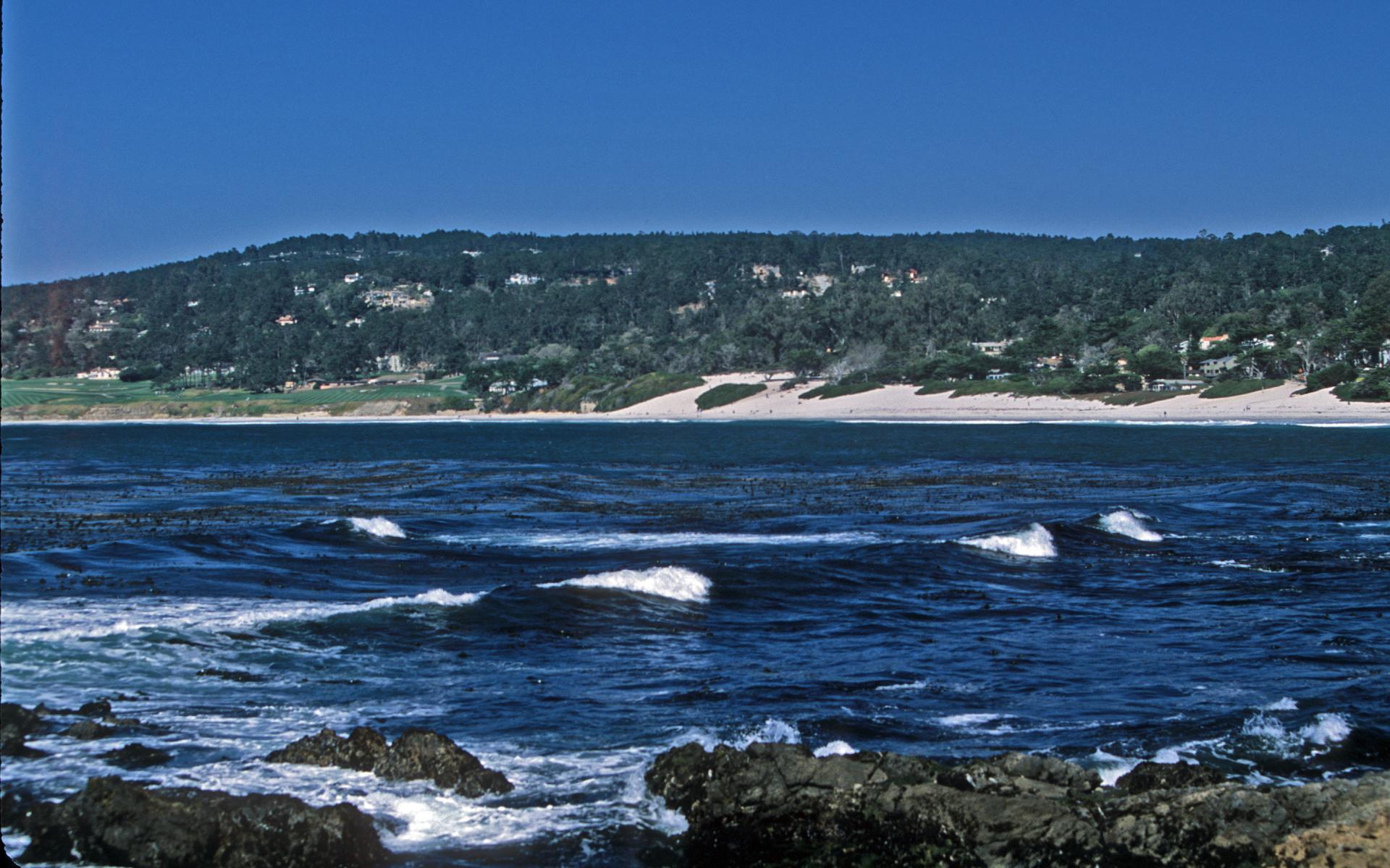 Carmel Beach Surf