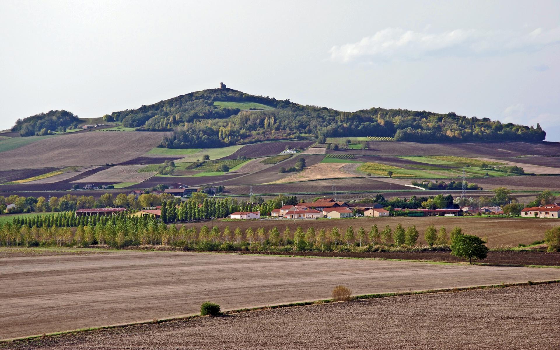 French Valley