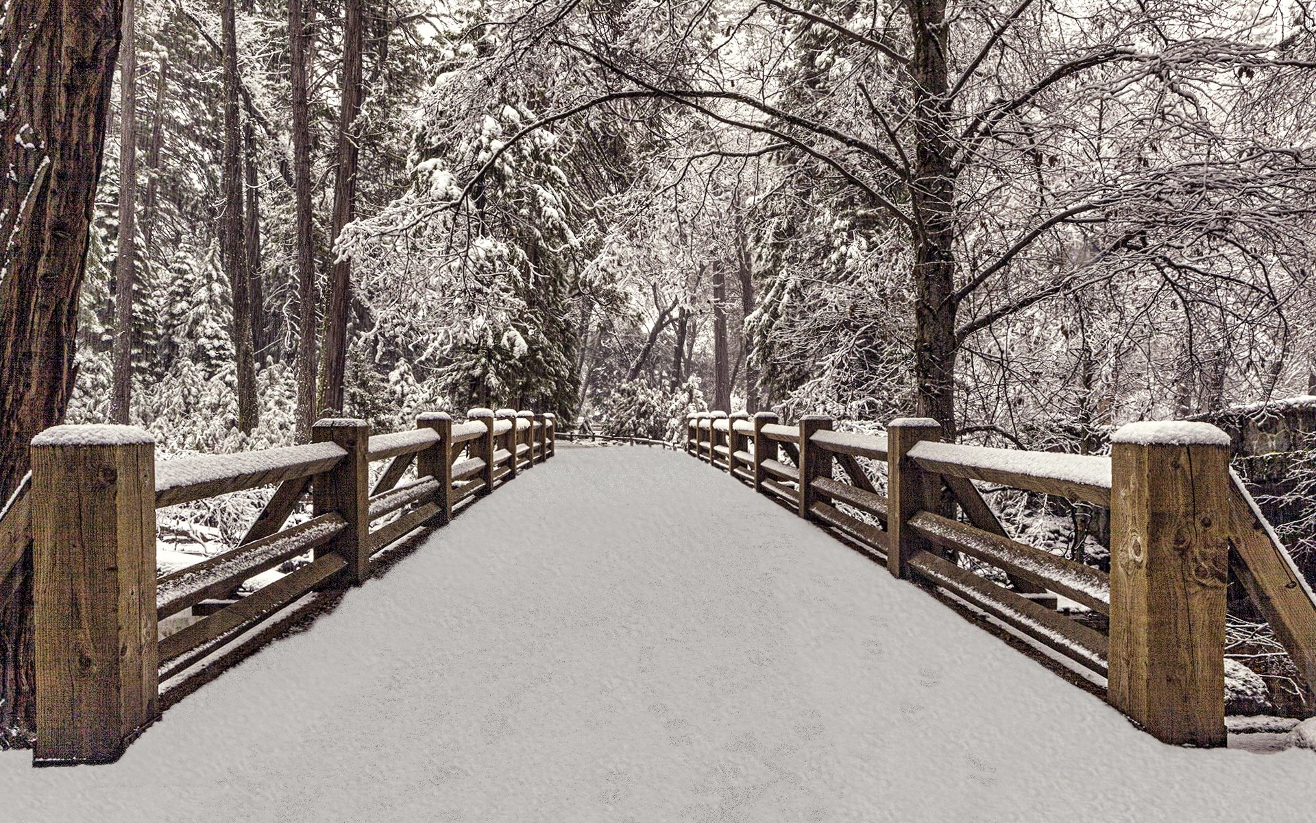 Foot Bridge - Yosemite Valley