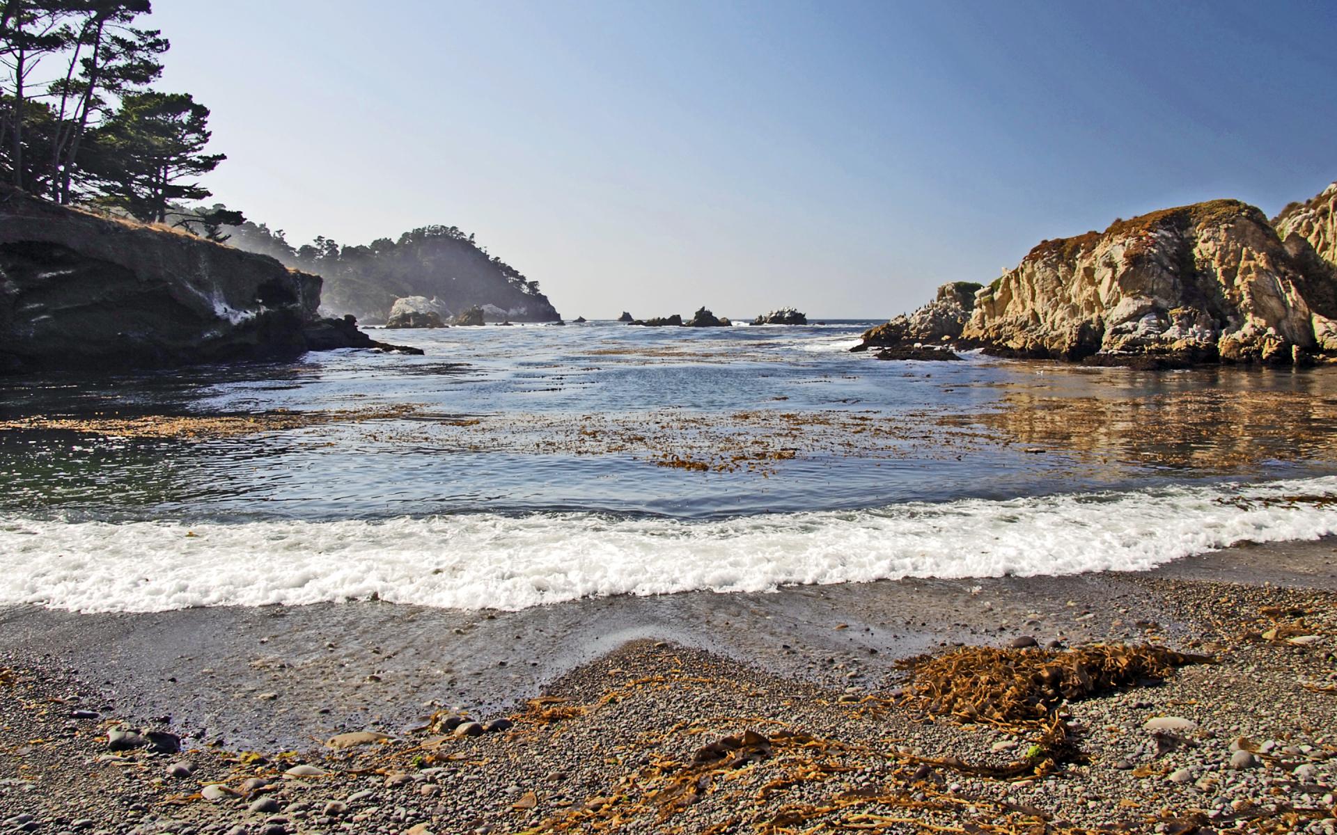 Point Lobos Ocean