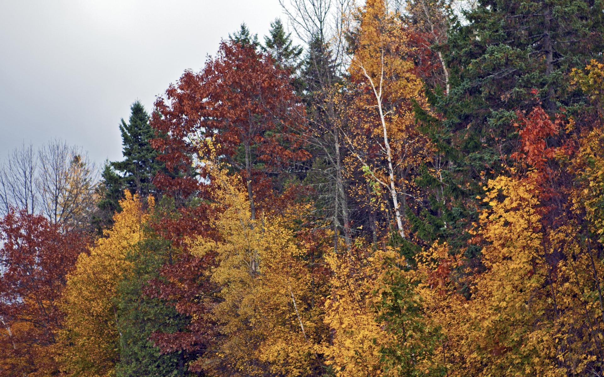 New Hampshire Roadside