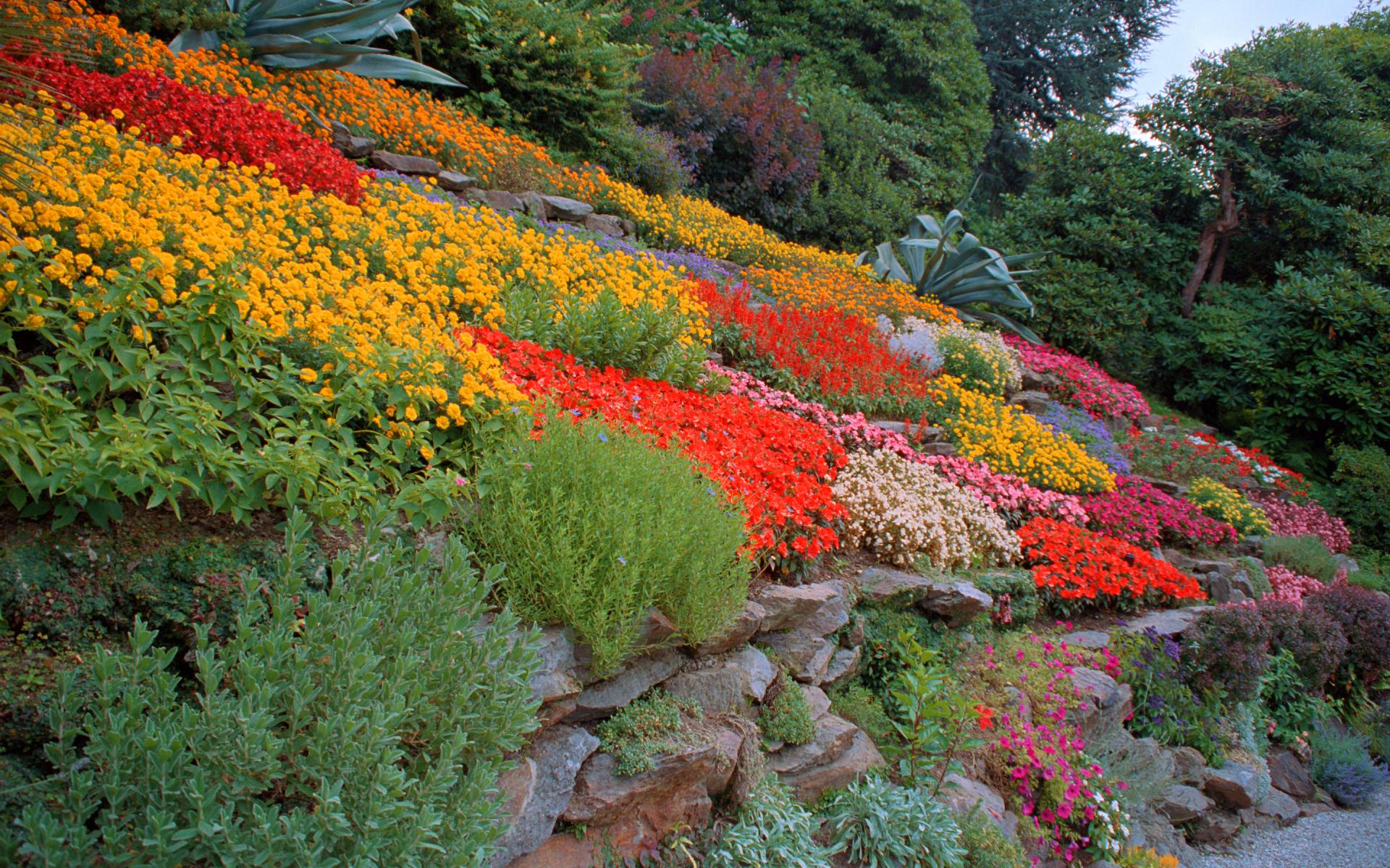 Carlotta Villa Gardens - Tremezzo - Lake Como - Italy