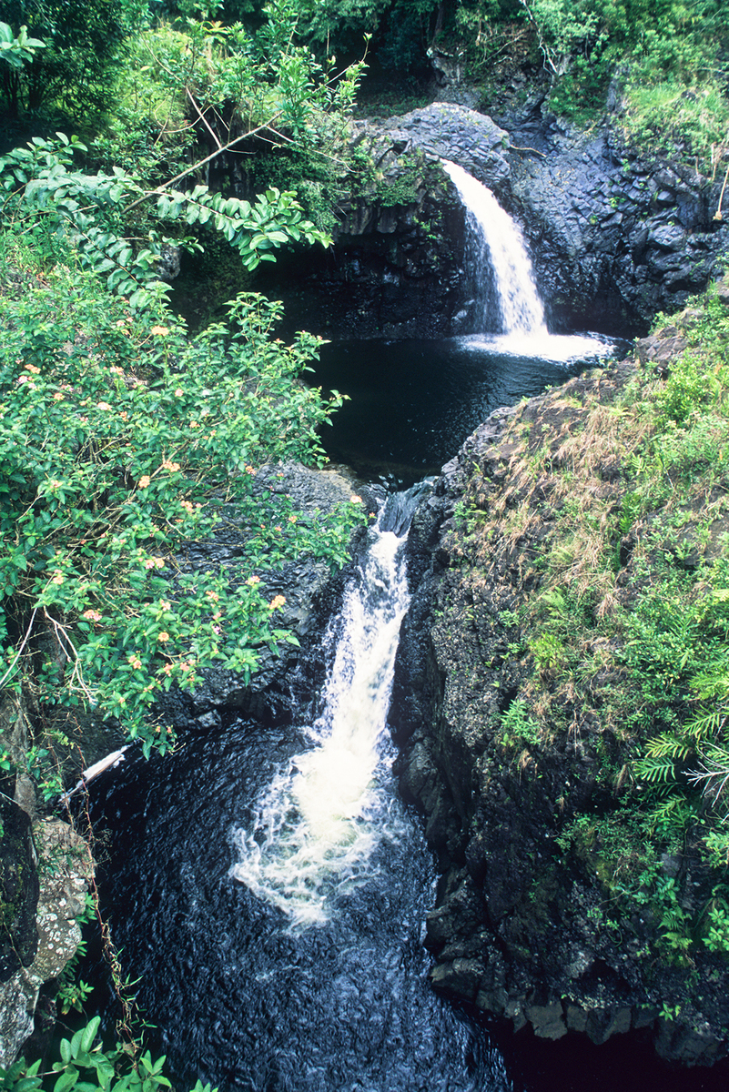 On the Road to Hana - Maui