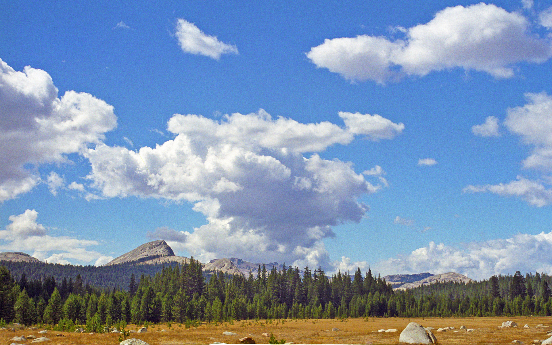 Tuolumne Meadows