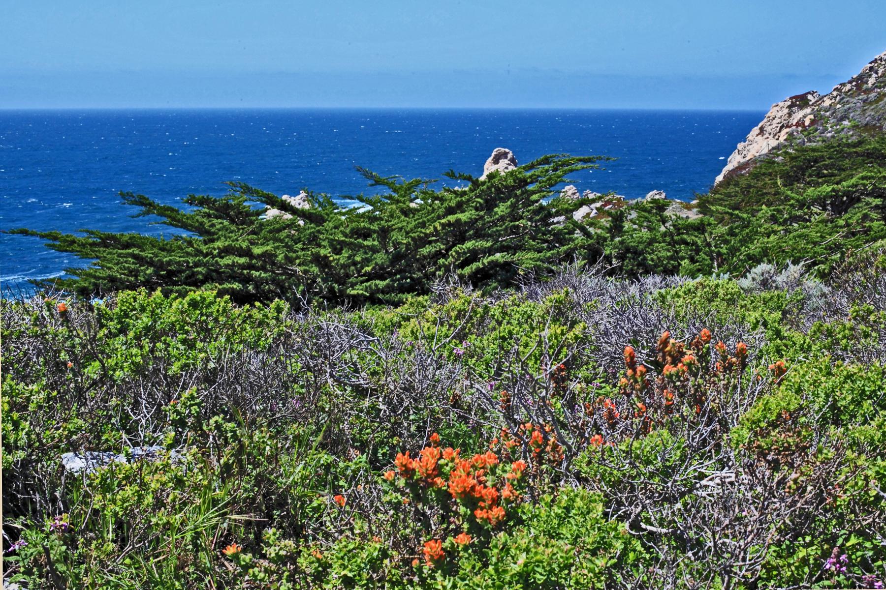 BIg Sur Coast Near Rocky Point