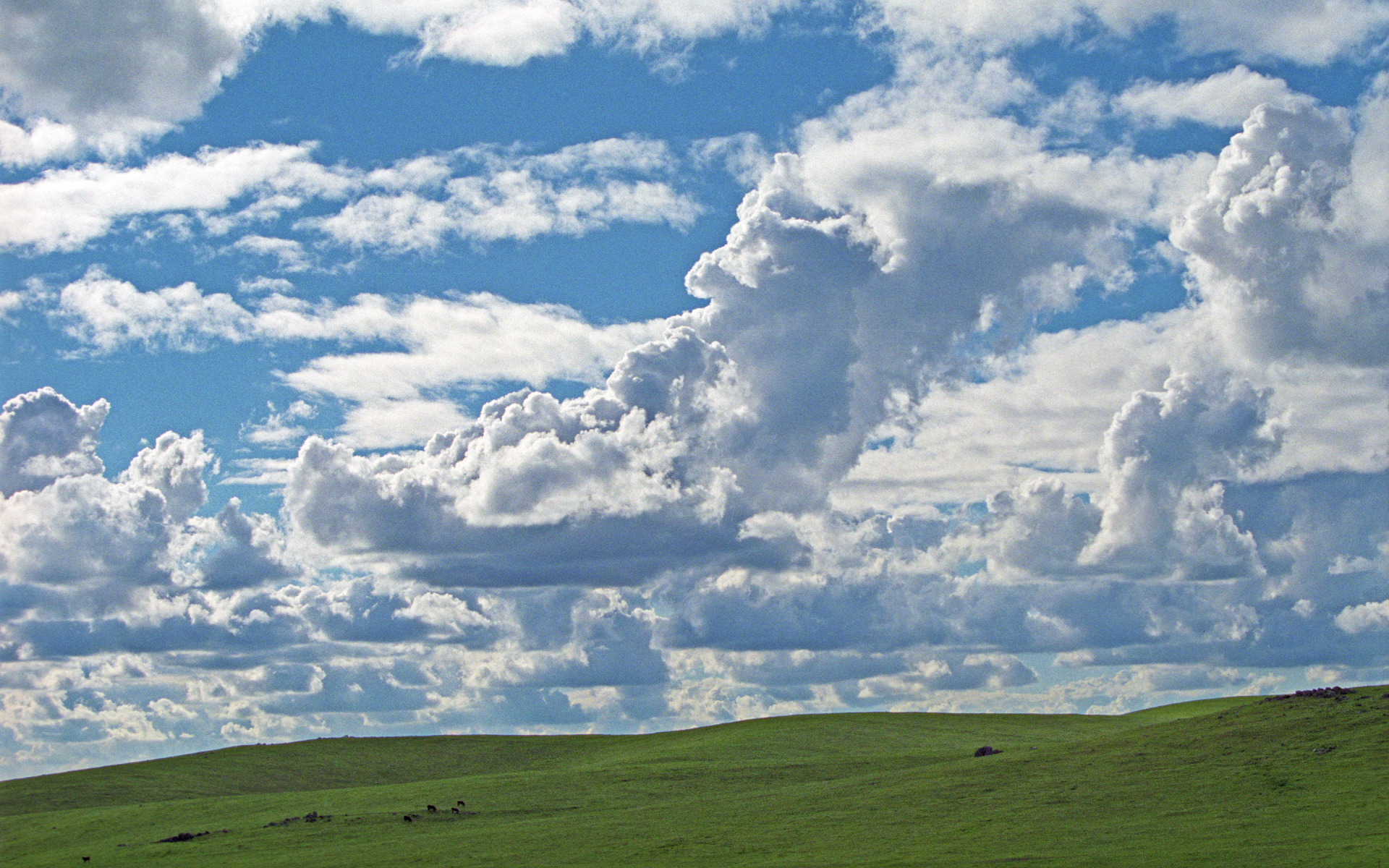 Green Pasture and Clouds