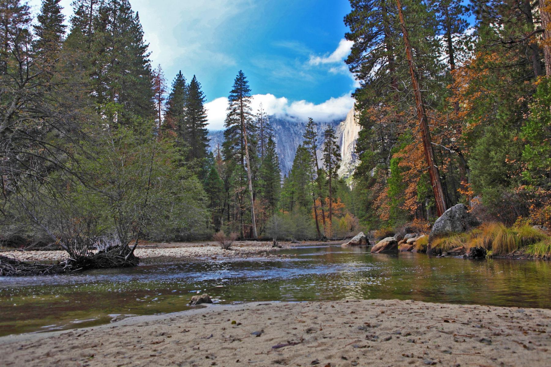 Merced River Bend