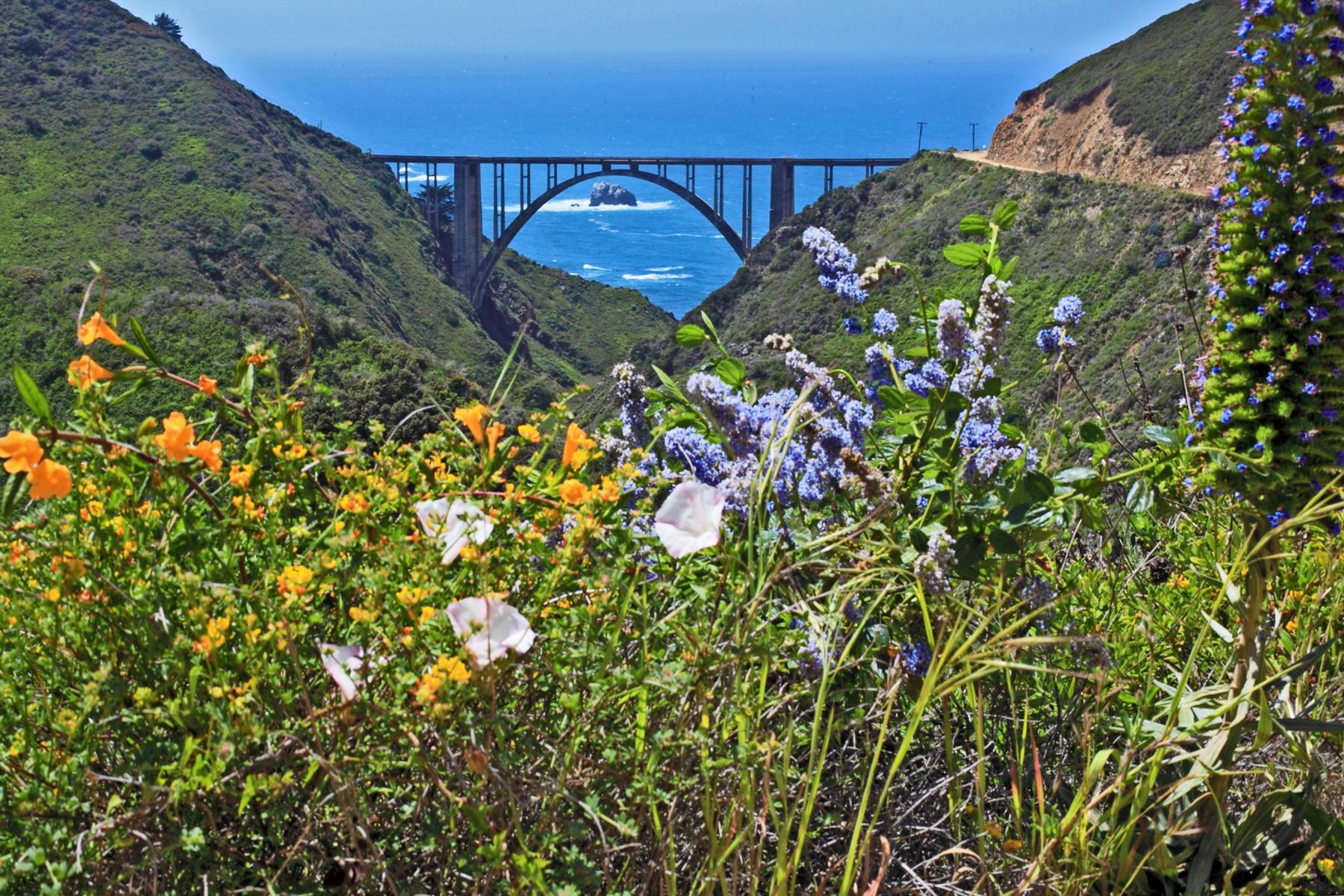 Bixby Bridge - Big Sur