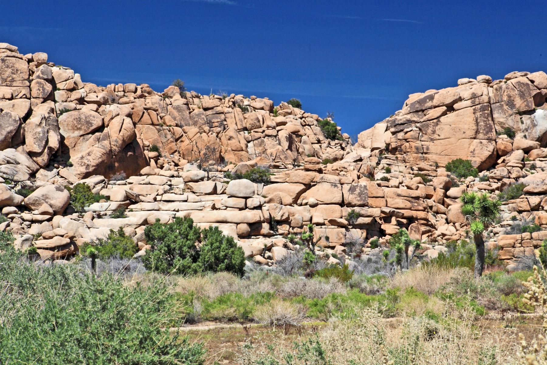 Joshua Tree Rock Wall