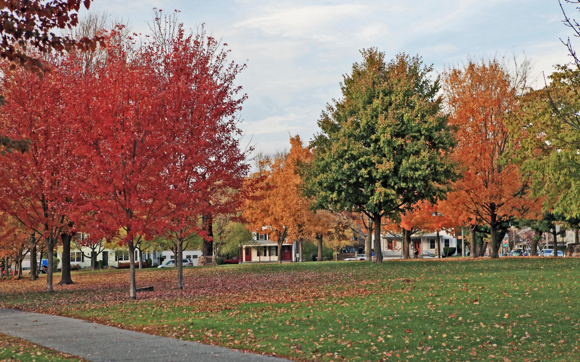 Burlington Fall Day - Vermont