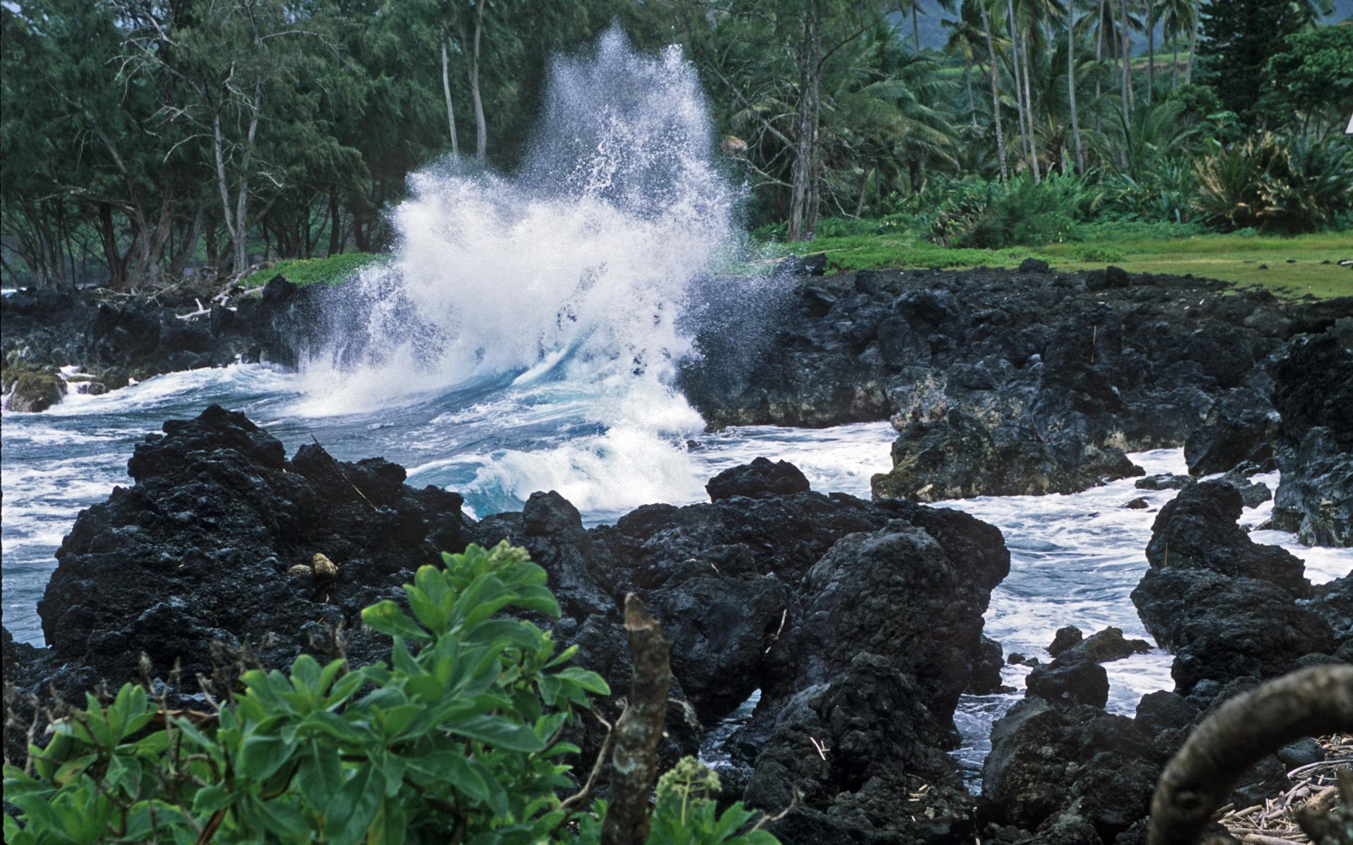 Lava Rock Surf - Maui