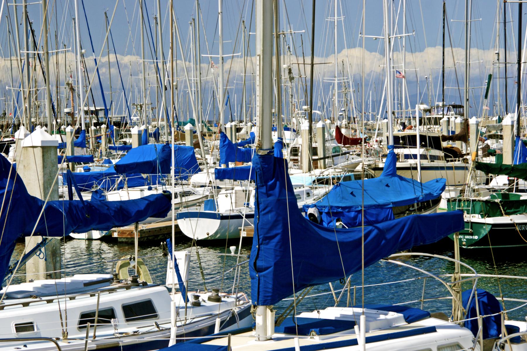 Monterey Harbor