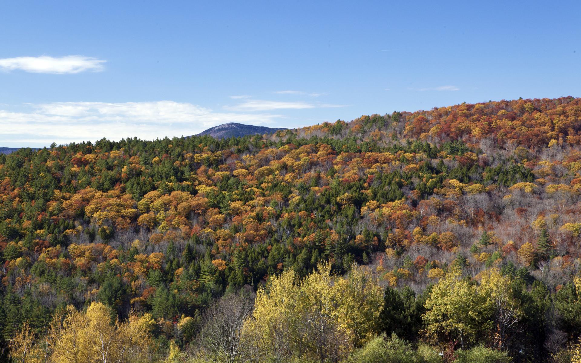 New Hampshire Fall Day