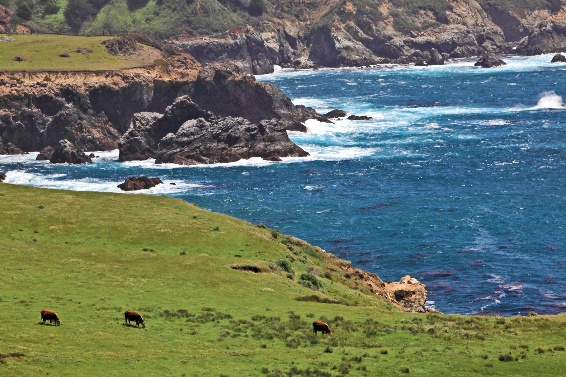 Big Sur Coast at Rocky Point