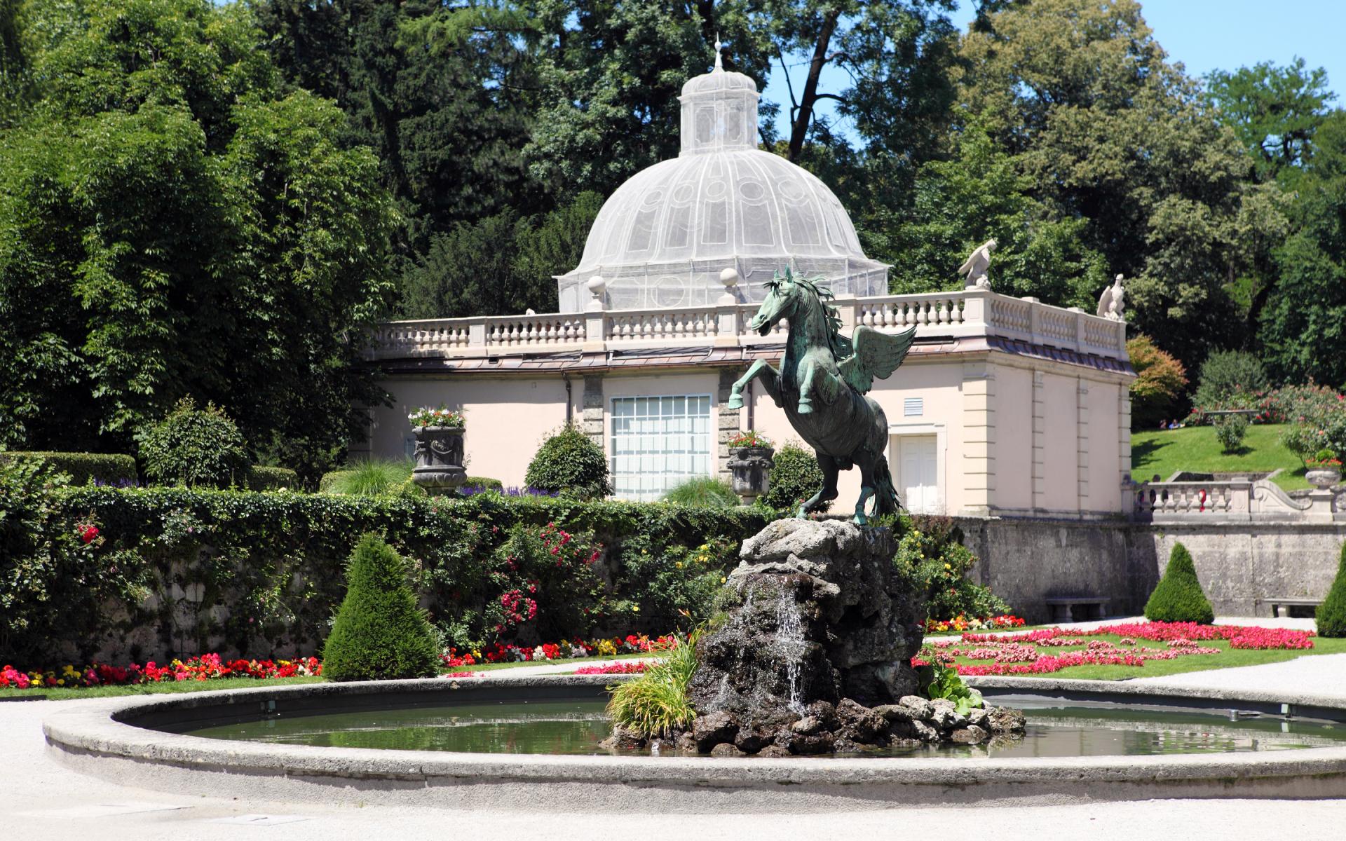 Horse and Pond - Salzburg