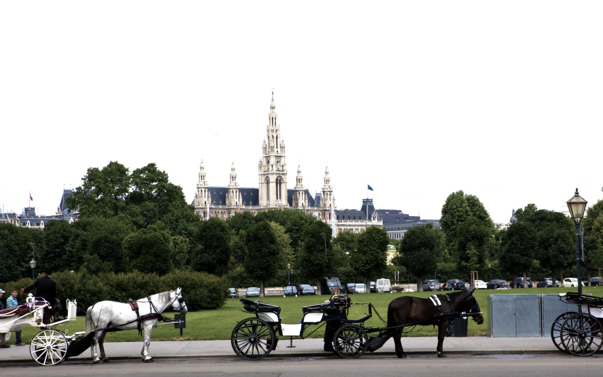 City Hall - Vienna.jpg