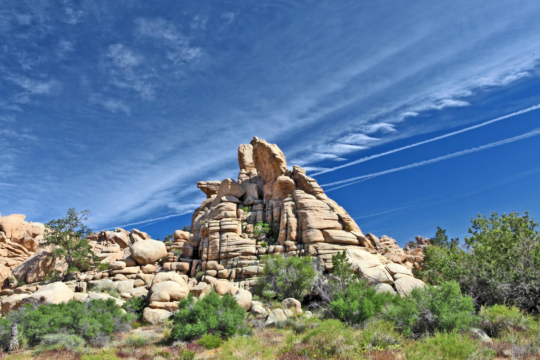 Joshua Tree Rock Pile