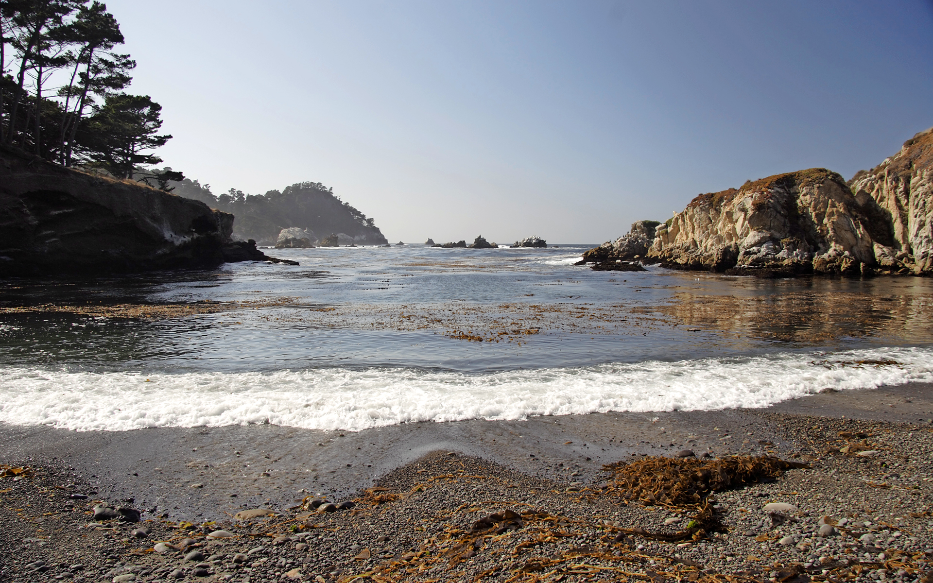 Point Lobos - Big Sur