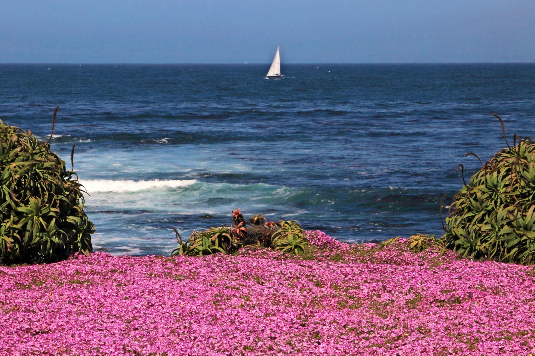 Pacific Grove - California