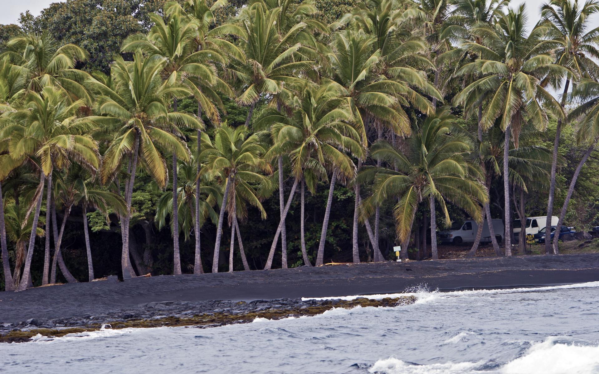 Punaluu Black Sand Beach - Big Island